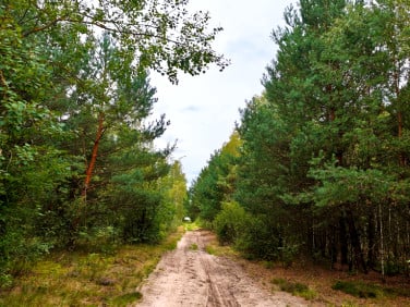 Działka Celinów