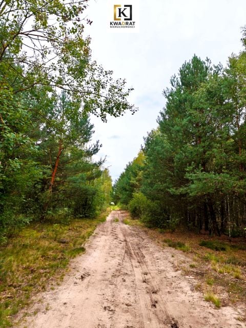 Działka Celinów