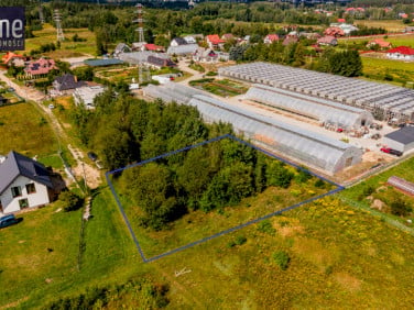 Działka inna Hryniewicze