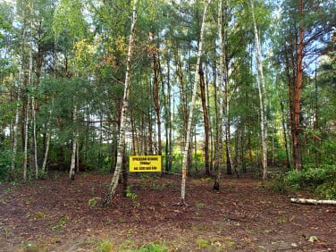 Działka budowlana Strzeniówka