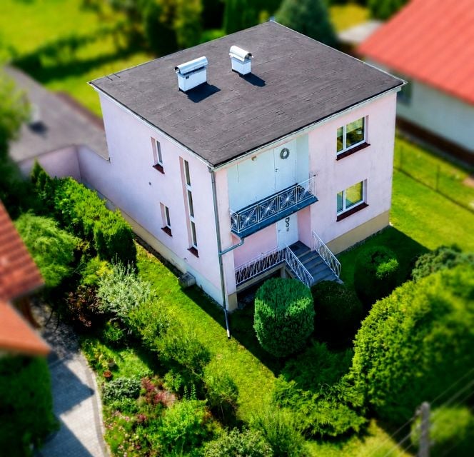 Zdjęcie 2