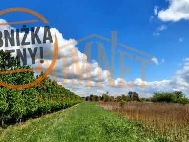 Działka rolna Dębówka
