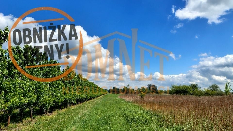 Działka rolna Dębówka