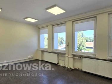 Lokal Zielona Góra