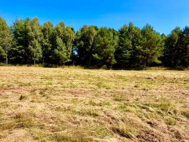 Działka budowlana Porost
