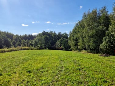 Działka Tarnów