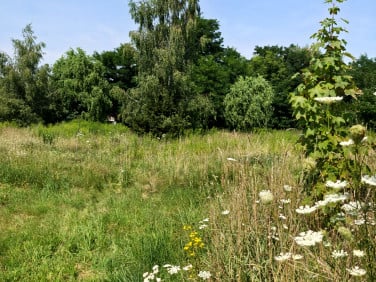 Działka budowlana Grodowiec