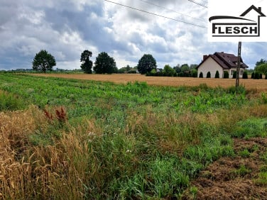 Działka przy lesie