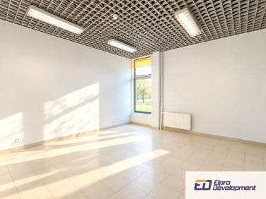 Lokal Świdnica