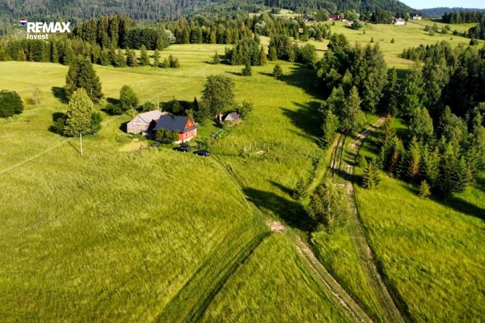 Zdjęcie 2