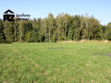 Działka przy lesie