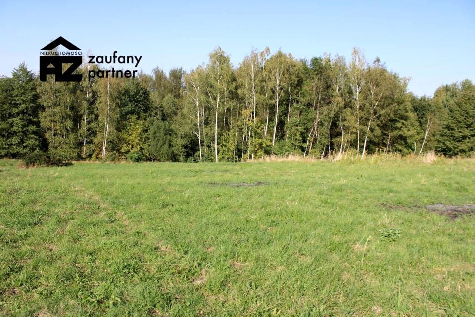 Działka przy lesie