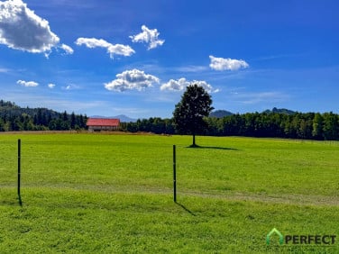 Działka budowlana Janowice Wielkie