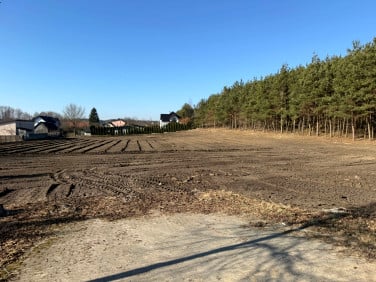 Działka budowlana Tulewo