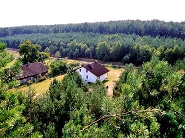 Dom Pąchy