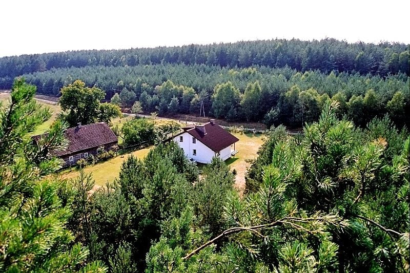 Dom Pąchy