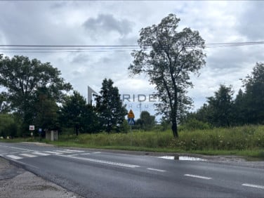 Działka usługowa Mikówiec