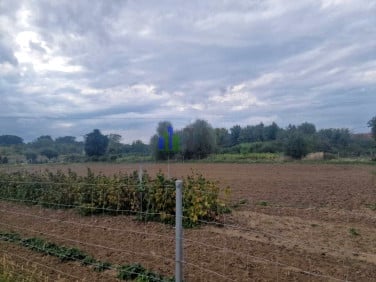 Działka budowlana Gajków