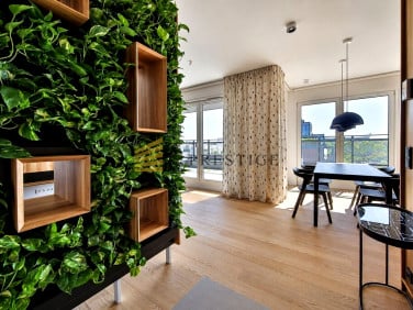 Mieszkanie apartamentowiec wynajem
