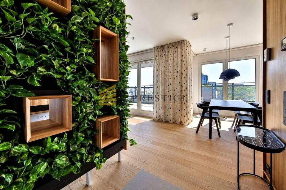 Mieszkanie apartamentowiec wynajem