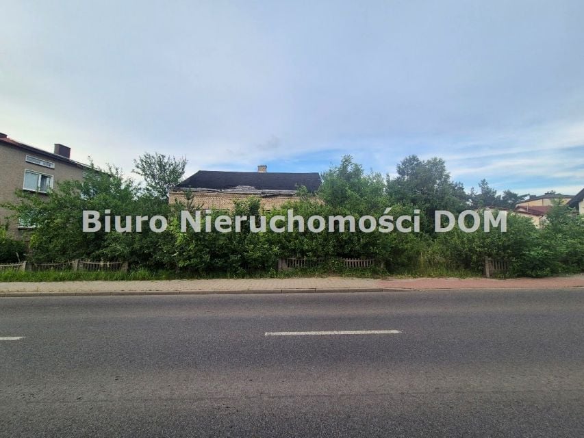 Zdjęcie 2