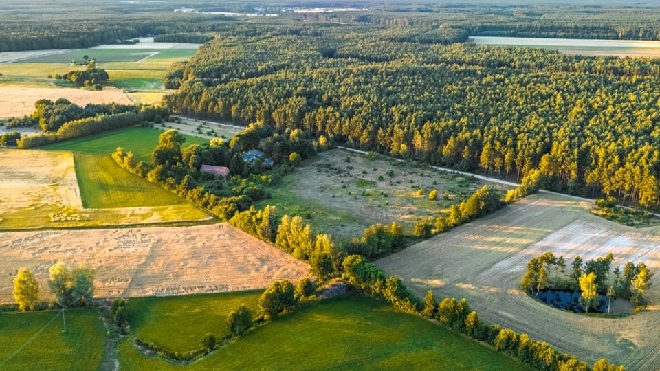 Działka budowlana Nowy Dwór