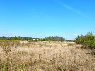 Działka Czosnów