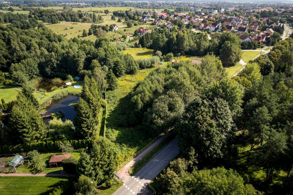 Zdjęcie 3