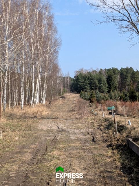 Zdjęcie 3