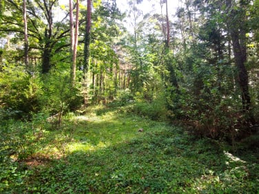 Działka budowlana Sokolniki-Las
