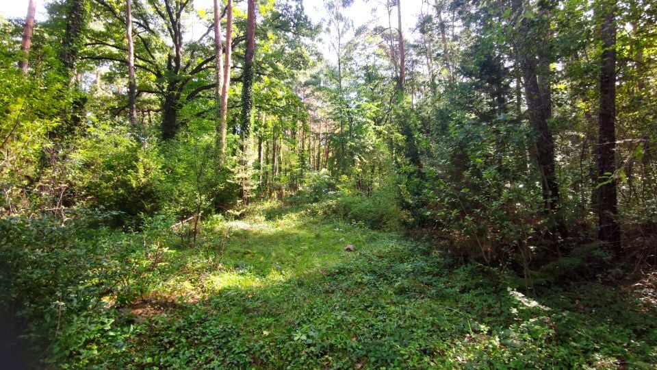 Działka budowlana, ul. Strzelecka