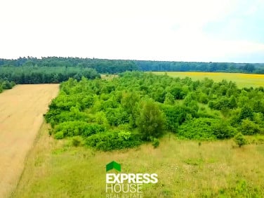 Działka Gorzelin