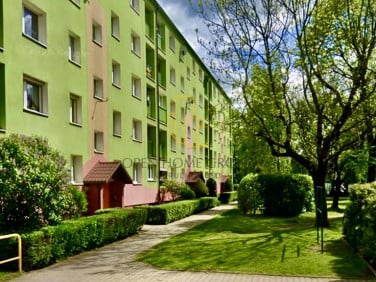 Mieszkanie Jelenia Góra
