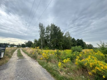 Działka budowlana Rybnik