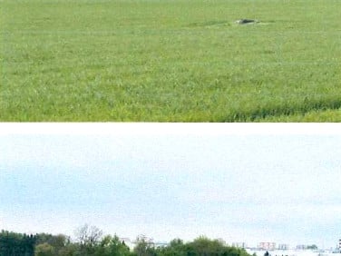 Działka przemysłowa Płock