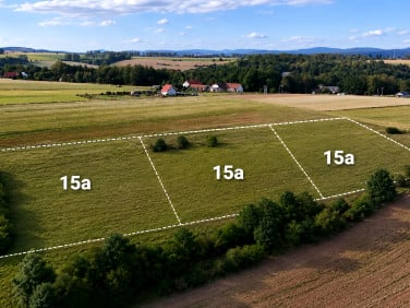 Działka budowlana Szalejów Dolny