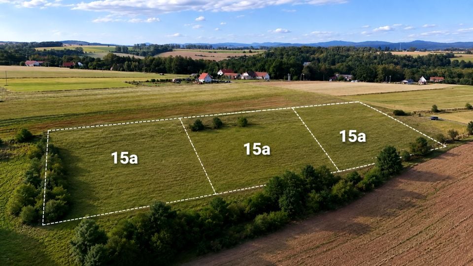 Działka budowlana Szalejów Dolny