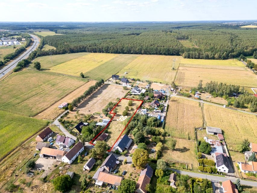 Zdjęcie 3