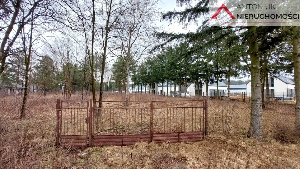Zdjęcie 2