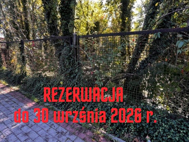 Działka Międzyborów