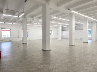 Lokal LUBLIN