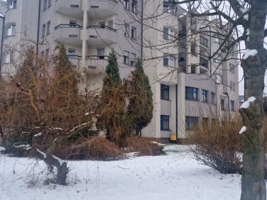 Lokal Kalisz