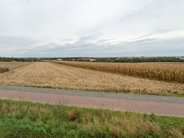 Działka inna Kalisz