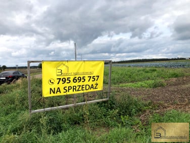 Działka budowlana Kuchary