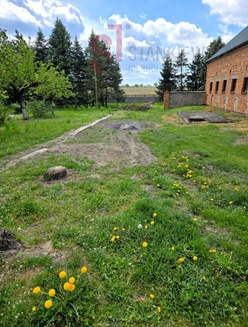 Zdjęcie 3