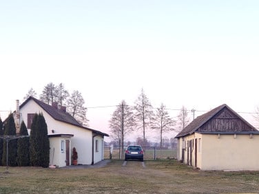 Dom Aleksandria