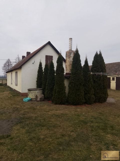Zdjęcie 3