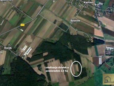 Działka rolna Beznatka