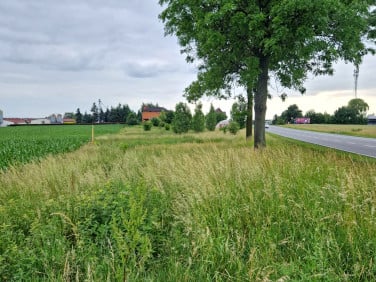 Działka budowlana Skarszew