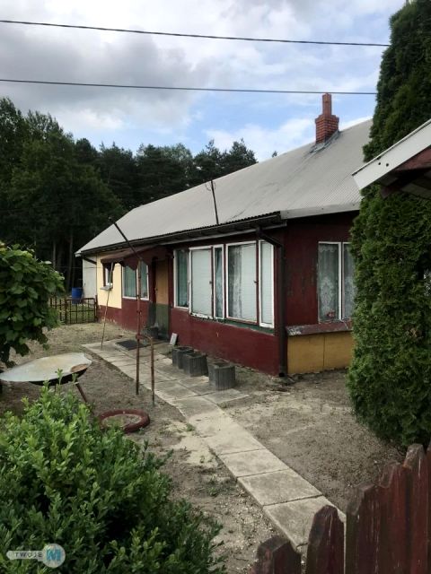 Zdjęcie 2